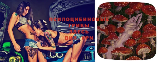 прущая мука Абаза
