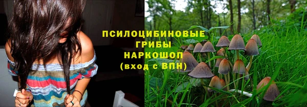 трава Алексин