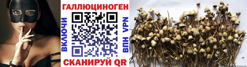 наркота  Орёл  Галлюциногенные грибы Psilocybe 